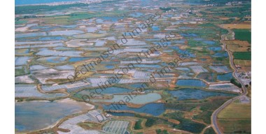 LES MARAIS SALANTS DE GUERANDE